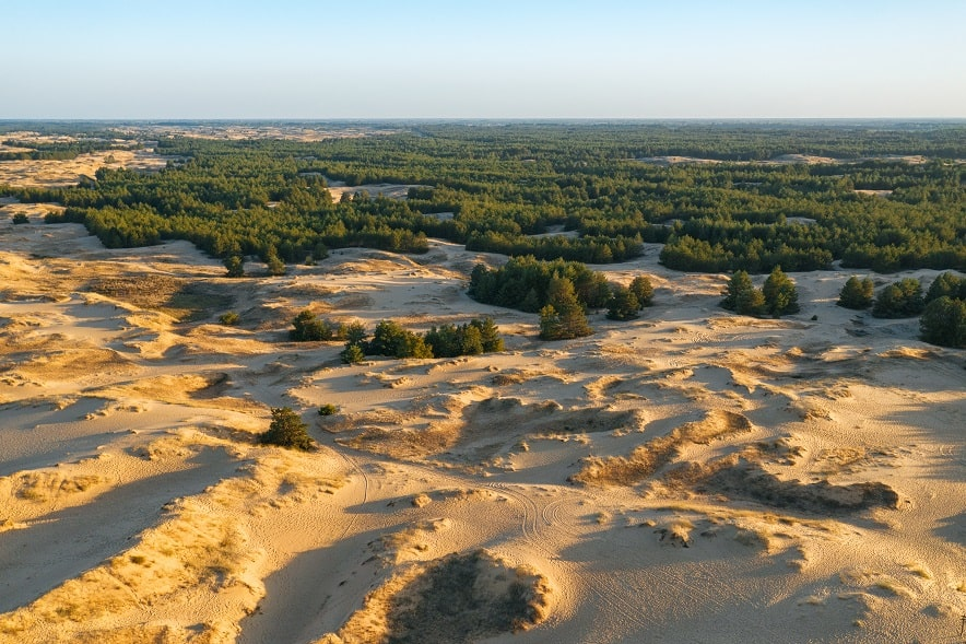 Українська пустеля в Херсоні — Олешківські піски: історія появи, розваги, як дістатися