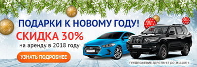 В Новый год с автомобилем!