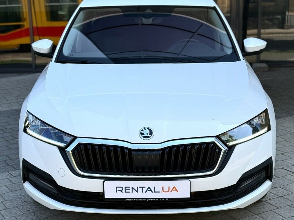 Skoda Octavia на прокат