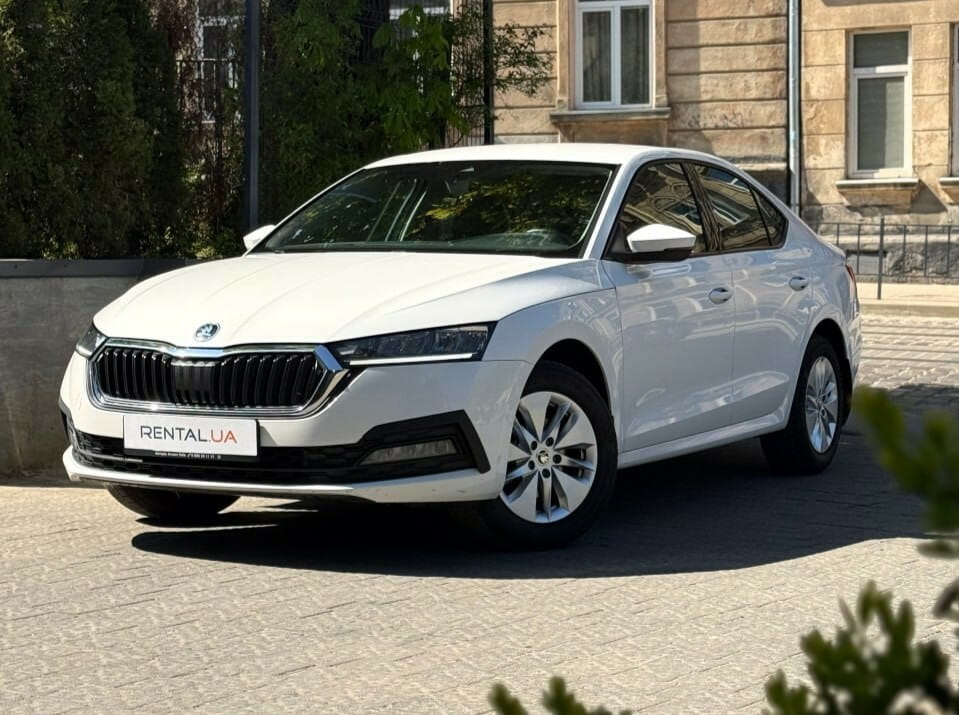 Аренда машины Skoda Octavia